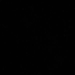 Meet your Posher, Brooklyn